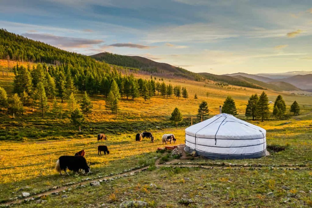 Fly Fishing Mongolia