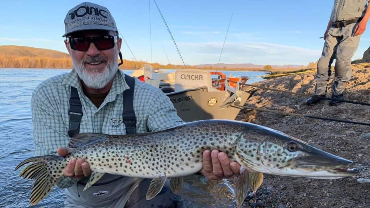 Fly Fishing Mongolia